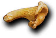 Kardem | Catering ve Toplu Yemek Hizmetleri