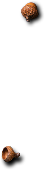 Kardem | Catering ve Toplu Yemek Hizmetleri