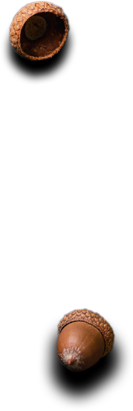 Kardem | Catering ve Toplu Yemek Hizmetleri