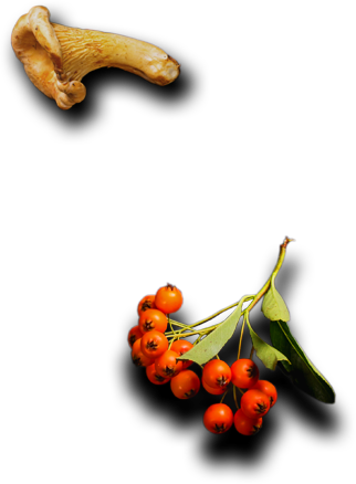 Kardem | Catering ve Toplu Yemek Hizmetleri